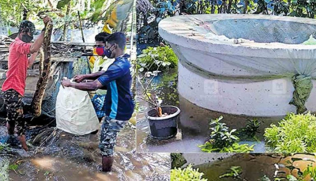 പാമ്പുകൾ വീടുകളിലേക്ക് ഒഴുകി എത്തുന്നു; വീടിന്റെ ഭാഗങ്ങളും കിണറുകളും ഇടിഞ്ഞ് താഴുന്നു; വെള്ളം ഇറങ്ങിയിട്ടും കുട്ടനാട്ടുകാരുടെ ദുരിതം തീരുന്നില്ല