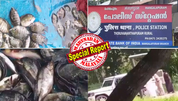 നാട്ടുകാർ കായലിൽ വലവീശിപ്പിടിച്ചത് കരിമീനും തിലോപ്പിയയും വരാലും; കോവിഡ് കാലത്തെ ആൾക്കൂട്ടം ഒഴിവാക്കാൻ എത്തിയ പൊലീസുകാർ പോയീനെടാ...എന്ന് വിരട്ടി ഓടിക്കൽ; പിടിച്ചെടുത്ത മീനുമായി ജീപ്പിൽ പോകും വഴി കൊതിമൂത്ത് പൊരിച്ച് കഴിച്ചു; മിച്ചം വന്നത് വിൽപ്പനയും; സോഷ്യൽ മീഡിയയിൽ സംഭവം വൈറലായപ്പോൾ മംഗലപുരം പൊലീസ് സ്റ്റേഷനിലെ മൂന്നു എഎസ്ഐമാർക്കെതിരെ നടപടി