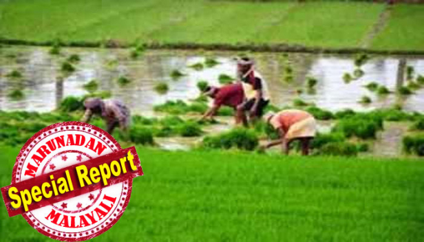 പി.എം കിസാൻ പദ്ധതിയിൽ നിന്നും ഉദ്യോഗസ്ഥരും രാഷ്ട്രീയക്കാരും ചേർന്ന് തട്ടിയെടുത്തത് 110 കോടി രൂപ; സഹായത്തിന് നിരവധി ഏന്റുമാരും; പട്ടികയിൽ കൂടുതൽ പേർ ഉൾപ്പെട്ടതോടെ അന്വേഷണവുമായി സംസ്ഥാന സർക്കാരും; തമിഴ്നാട്ടിൽ കർഷകരുടെ പണം തട്ടിയ 80 ഓളം ജീവനക്കാരെ പിരിച്ചുവിട്ടു; സംഭവത്തിൽ ഇതുവരെ അറസ്റ്റിലായത് 18 പേർ