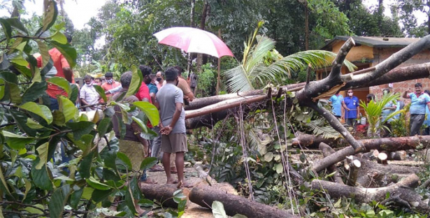 ശക്തമായ കാറ്റിൽ വാഹനങ്ങൾ വായുവിൽ പറന്നു; കാറ്റ് പോയ വഴിയിൽ വൃക്ഷലതാതികളും കെട്ടിടങ്ങളുടെ മുകൾ ഭാഗവുമെല്ലാം വട്ടംചുറ്റി പലഭാഗത്തേയ്ക്കുമായി പതിച്ചു; മഴിയുടെ അകമ്പടികൂടി ആയതോടെ പരിസരാമാകെ ഇരുട്ടു പരന്നു; ഒരു മിനിറ്റിൽ താഴെ നീണ്ടു നിന്ന ചുഴലിക്കാറ്റിൽ ഒരുപ്രദേശം തവിടു പൊടിയായി; ആലുവ എടത്തലയെ കാറ്റ് പ്രതിസന്ധിയിലാക്കുമ്പോൾ