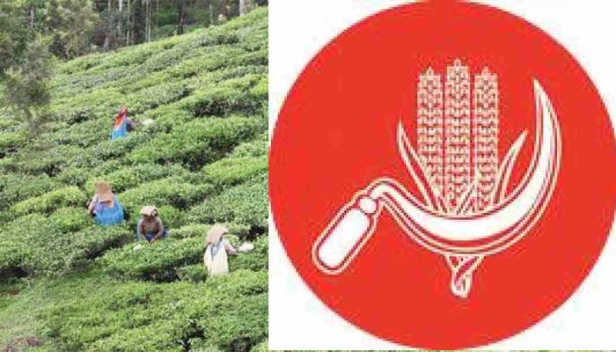 തോട്ടംഭൂമിയിൽ യഥേഷ്ടം ഫലവൃക്ഷങ്ങൾകൂടി കൃഷിചെയ്യാൻ അനുമതി വേണമെന്ന് കൃഷി വകുപ്പ്; എതിർപ്പുമായി റവന്യൂ മന്ത്രി; ഭൂപരിഷ്കരണ നിയമ ഭേദഗതി തിടുക്കത്തിൽ വേണ്ടെന്ന് തീരുമാനിച്ച് സിപിഐ