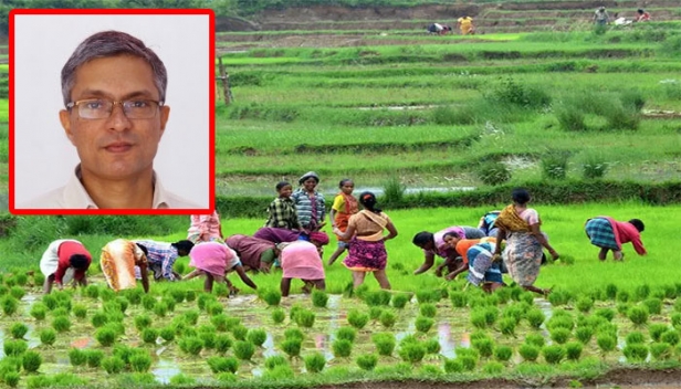 കർഷകർ അറിഞ്ഞിരിക്കേണ്ട നിയമങ്ങളെ മലയാളത്തിലേക്ക് വിവർത്തനം ചെയ്ത് അദ്ധ്യാപകൻ; കൊച്ചി സ്വദേശി ഡോ. ജേക്കബ് ജോസഫ് കർഷകർക്ക് തുണയാകുന്നത് ഇങ്ങനെ