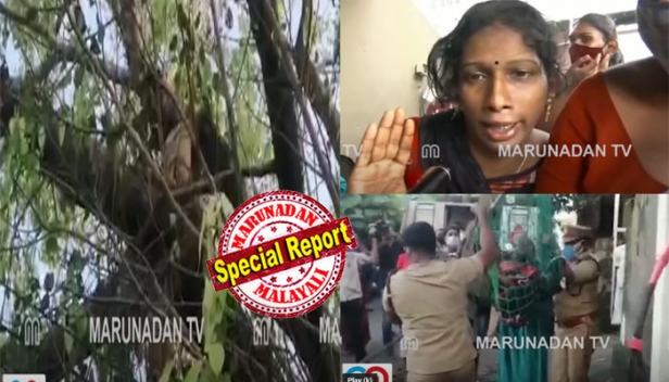 ആലുവ പൊലീസ് സ്റ്റേഷന് മുന്നിലെ ആൽമരത്തിൽ കയറി ആത്മഹത്യാ ഭീഷണി മുഴക്കി ട്രാൻസ്ജെൻഡർ യുവതി; ഒടുവിൽ അന്നാരാജുവിനെ അനുനയിപ്പിച്ച് താഴെയിറക്കിയപ്പോൾ കാരണം ഇങ്ങനെ; എല്ലാം തെറ്റിദ്ധാരണയെന്ന് പൊലീസും