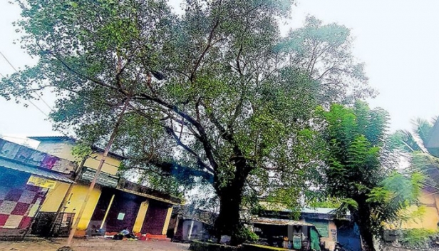 ഇടിമുഴക്കമെന്ന് ചിലർ; ഭൂമി കുലുക്കമെന്ന് മറ്റു ചിലർ: നെടുംകുന്നത്തെ വിറപ്പിച്ച മുഴക്കത്തിന്റെ ഉറവിടമറിയാതെ ഭയചകിതരായി നാട്ടുകാർ