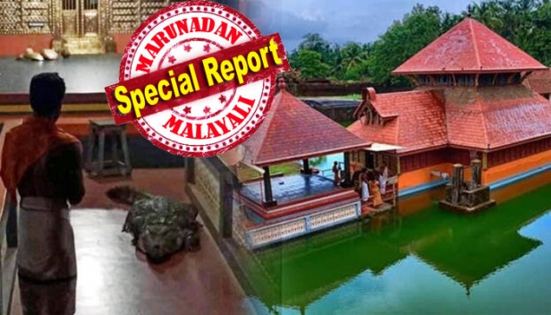 75ന്റെ നിറവിൽ ശ്രീകോവിലിനടുത്തെത്തി ബബിയ; കേരളത്തിന്റെ വിസ്മയമായ മുതല വീണ്ടും വാർത്തകളിൽ നിറയുന്നതിങ്ങനെ