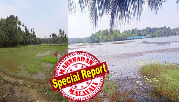 ഞാറ്റുസമരത്തിന് വേദിയായ വയലിൽ ഇനി സോളാർ വിപ്ലവം; പടിഞ്ഞാറെ കല്ലടയിലെ പാടത്ത് ഇനി വെയിൽ കൊയ്ത് ഊർജ്ജമുണ്ടാക്കും; ഏറ്റവും വലിയ ഫ്ലോട്ടിങ് സോളാർ പദ്ധതി ഇനി കേരളത്തിന് സ്വന്തം