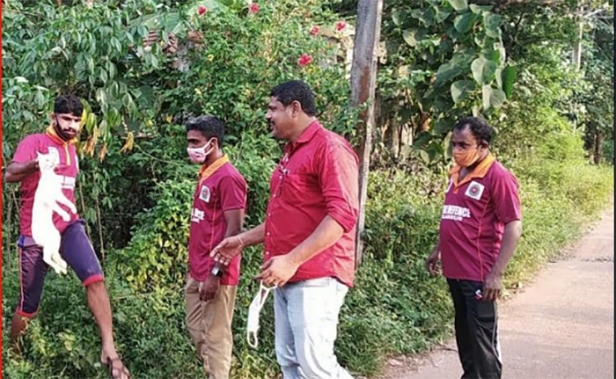 കിണറ്റിൽ വീണ പൂച്ചയ്ക്ക് ഒൻപതാം നാൾ മോചനം; രക്ഷകരായത് ഫയർ ഫോഴ്സ് വളണ്ടിയർമാർ