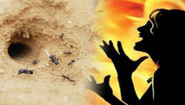 വീടിനുള്ളിലെ ഉറുമ്പിനെ തുരത്താൻ തീയിട്ടു; സോഫ്റ്റ്വെയർ എൻജിനിയറായ 27കാരി പൊള്ളലേറ്റ് മരിച്ചു