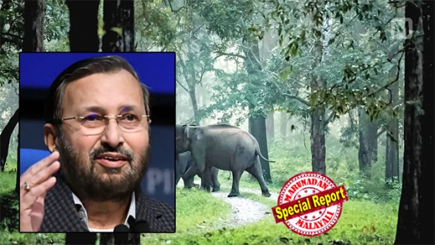 പരിസ്ഥിതി ദുർബല മേഖലയായി പ്രഖ്യാപിക്കേണ്ട വില്ലേജുകളെ തിരഞ്ഞെടുക്കുന്നത് കേന്ദ്ര സർക്കാരറല്ല; മേഖലകൾ നിർദേശിച്ചത് കേരള സർക്കാർ; അന്തിമ വിജ്ഞാപനം ഇറക്കുന്നതിന് മുൻപ് അഭിപ്രായ നിർദേശങ്ങൾ പരിഗണിക്കും; വയനാട് വന്യജീവിസങ്കേതത്തിന് ചുറ്റുമുള്ള സ്ഥലം പരിസ്ഥിതി ദുർബലമാക്കിയതിൽ പ്രതികരിച്ച് കേന്ദ്രമന്ത്രി പ്രകാശ് ജാവഡേക്കർ