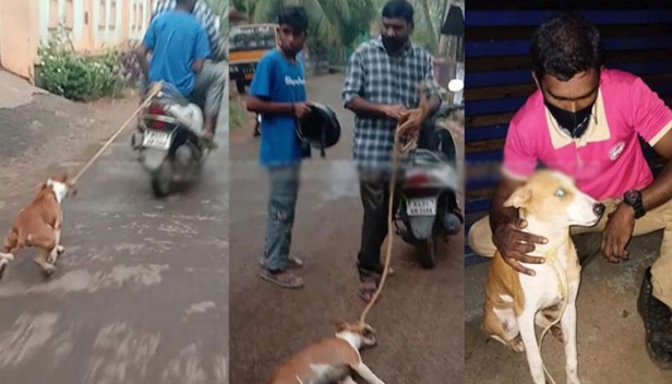 നായയോട് വീണ്ടും കണ്ണില്ലാ ക്രൂരത; ചെരുപ്പ് കടിച്ച് കേടുവരുത്തിയതിന് നായയെ സ്കൂട്ടറിൽ കെട്ടിവലിച്ച് ഉടമസ്ഥൻ: ചോരയൊലിപ്പിച്ച് തളർന്നുവീണ മിണ്ടാപ്രാണിയെ വീട്ടുകാർ വീണ്ടും കടത്തിക്കൊണ്ടു പോയി