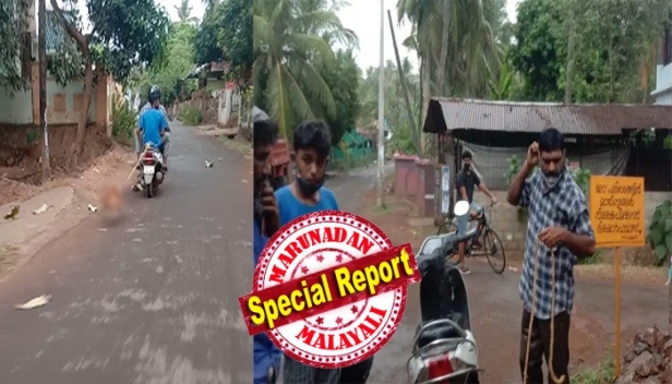എതിർത്തവരോടൊക്കെ തട്ടിക്കയറി; ഒടുവിൽ മിണ്ടാപ്രാണിക്ക് രക്ഷകയായത് പൊതുപ്രവർത്തകന്റെ ഇടപെടൽ; വളർത്തുനായയെ കെട്ടിവലിച്ച കേസിൽ ഉടമയെ ഇന്ന് അറസ്റ്റ് ചെയ്തേക്കും; നടപടി അനിമൽ വെൽഫെയർ ഓഫീസറുടെ പരാതിയിൽ