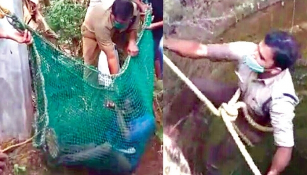 മുരിങ്ങ കായ പറിക്കാൻ കയറിയ യുവാവ് 35 അടി താഴ്ച്ചയുള്ള കിണറ്റിൽ വീണു; ആൾതാമസമില്ലാത്ത വീട്ടിലെ അഞ്ചടി വെള്ളമുള്ള കിണറ്റിൽ വീണ യുവാവിന് കാലിന് പരുക്ക്; നെറ്റും റോപ്പും ഉപയോഗിച്ച് രക്ഷകരായി ഫയർഫോഴ്സ്
