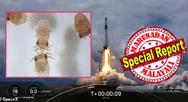ഇന്റർനാഷണൽ സ്പേസ് സ്റ്റേഷനിലേക്ക് ചെറുജീവികളെ ഇറക്കി പുതിയ പരീക്ഷണം; ബഹിരാകാശ ജീവിതം ജീവികളിൽ ഉണ്ടാക്കുന്ന മാറ്റങ്ങൾ പഠന വിധേയമാക്കും; സ്പേസ് സ്റ്റേഷനിലേക്ക് മനുഷ്യരെ അയയ്ക്കുന്നതിനു മുന്നോടിയായുള്ള പരീക്ഷണം വിജയത്തിലേക്ക്; സ്പേസ് എക്സിന്റെ പുതിയ ബഹിരാകാശ ദൗത്യത്തെക്കുറിച്ചറിയാം
