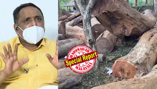 മുട്ടിൽ മരംമുറിക്കേസിൽ ഡിഎഫ്ഒ ധനേഷ് പണം വാങ്ങിയിട്ടില്ല; തിരുത്തി മുഖ്യപ്രതി റോജി അഗസ്റ്റിൻ; മറ്റ് ഉദ്യോഗസ്ഥർ പണം വാങ്ങിയതിന് തെളിവുണ്ടെന്നും ആരോപണം; പച്ചക്കള്ളമെന്ന് പ്രകൃതി സംരക്ഷണസമിതി സെക്രട്ടറി എൻ.ബാദുഷ