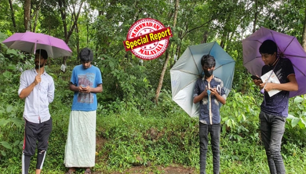 മൊബൈൽ റേഞ്ചില്ല; ഓൺലൈൻ ക്ലാസ് കേൾക്കാൻ കൊടുംകാട്ടിൽ കുടയും ചൂടി വിദ്യാർത്ഥികൾ; കണക്റ്റിവിറ്റി കണി കാണാനില്ല; പഠിപ്പ് കുന്നുംപുറങ്ങളിൽ; മലപ്പുറം പുത്തനഴി കൊടക്കാടൻ ചോലയിൽ മഴക്കാലത്ത് വൈദ്യുതി മുടക്കവും പ്രശ്നം; സർക്കാർ തിരിഞ്ഞൊന്നു നോക്കണേ എന്നു വിദ്യാർത്ഥികൾ