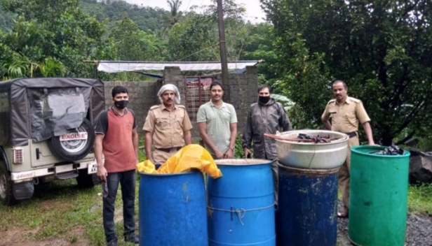 താമരശ്ശേരി ആനക്കാംപൊയിലിൽ നിന്നും 975 ലിറ്റർ വാഷ് പിടികൂടി; വാറ്റുകേന്ദ്രം എക്സൈസ് സംഘം തകർത്തു