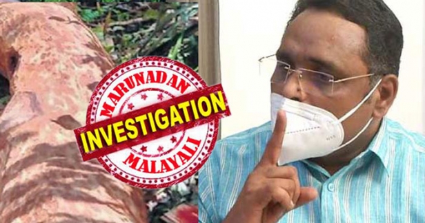 അഗസ്റ്റിൻ സഹോദരന്മാരെ കുടുക്കാൻ എൻഫോഴ്സ്മെന്റും; മരംവെട്ടു കേസ് അന്വേഷിക്കാൻ തീരുമാനിച്ചെന്ന് സംസ്ഥാന സർക്കാരിനെ അറിയിച്ച് ഇഡി; വനം കൊള്ളയിൽ അന്വേഷണത്തിന് സിബിഐ എത്താനും സാധ്യത; വനത്തിൽ നിന്ന് മാത്രമല്ല പുറമ്പോക്ക് ഭൂമിയിലെ മരവും വെട്ടിയെന്ന് ക്രൈംബ്രാഞ്ചും; കാട്ടുകള്ളന്മാർ വെട്ടിലാകുമ്പോൾ