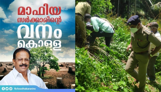 കേരളത്തിൽ സർക്കാർ ഒത്താശയോടെ നടന്നത് കോടികളുടെ വനംകൊള്ള; ഫോറസ്റ്റ് ഓഫീസറെ സസ്പെൻഡ് ചെയ്ത് തലയൂരാൻ നീക്കം; സിപിഎമ്മിനൊപ്പം സിപിഐ മത്സരിച്ച് അഴിമതി നടത്തുന്നു; കമ്മ്യൂണിസ്റ്റ് തിരുത്തൽവാദികളെ ആര് തിരുത്തും?; ചോദ്യമുന്നയിച്ച് കെ സുധാകരൻ