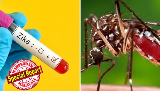 കേരളത്തിൽ സിക്ക വൈറസ് ബാധ സ്ഥിരീകരിച്ചു; രോഗം റിപ്പോർട്ട് ചെയ്തത് പാറശാല സ്വദേശി 24 കാരിയായ ഗർഭിണിക്ക്; സംസ്ഥാനത്ത് വൈറസ് ബാധ കണ്ടെത്തുന്നത് ആദ്യമായി; തിരുവനന്തപുരം ജില്ലയിൽ പതിമൂന്ന് പേർക്ക് രോഗബാധയെന്ന് സംശയം; എല്ലാ ജില്ലകൾക്കും ജാഗ്രതാ നിർദ്ദേശം
