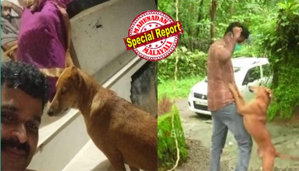 വലയിൽ കുരുങ്ങി അവശനായി മരണത്തോട് മല്ലിട്ട നായയെ രക്ഷിച്ചതോടെ ശ്രീനാഥ് അത് മറന്നു; സ്റ്റേഷന് സമീപം ചുറ്റിത്തിരിഞ്ഞ് രക്ഷകനെ നിരീക്ഷണം; ഒടുവിൽ നാല് കിലോമീറ്റർ പിന്തുടർന്ന് വീട്ടിലെത്തി സ്നേഹപ്രകടനം; കോഴിക്കോട് തൊട്ടിൽപ്പാലത്തെ പൊലീസുകാരനും നായയും തമ്മിലുള്ള അപൂർവ സൗഹൃദം