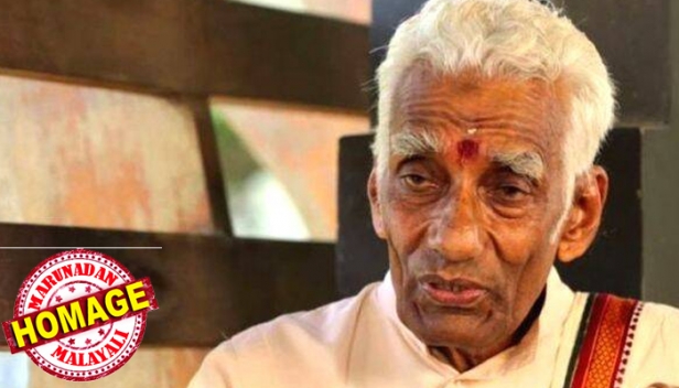 കഥകളി ആചാര്യൻ നെല്ലിയോട് വാസുദേവൻ നമ്പൂതിരി അന്തരിച്ചു; അന്ത്യം, അർബുദബാധിതനായി ചികിത്സയിൽ കഴിയവെ; വിടവാങ്ങിയത് കേരളത്തിലെ കഥകളി അരങ്ങുകളെ സാർത്ഥകമാക്കിയ വിഖ്യാത നടൻ