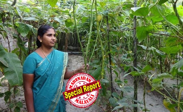 ഫയലുകൾക്കിടയിൽ ചടഞ്ഞു കൂടാനുള്ളതോ സർക്കാർ ഉദ്യോഗം? വേറിട്ട വഴിയിലൂടെ കാർഷിക വിപ്ലവത്തിന് സമൂഹത്തെ സജ്ജമാക്കിയ റെജിയെ പരിചയപ്പെടാം; കഞ്ഞിക്കുഴിയിലെ കൃഷി ഓഫീസറുടെ പ്രവർത്തനം നമുക്കും മാതൃകയാക്കാം