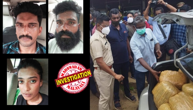 മുൻ സീറ്റിൽ ഭാര്യയായി വർഷ; ഫൈസൽ ഓടിച്ച കാറിന്റെ പിന്നിൽ കഞ്ചാവ് കാർ; പൊലീസിനെ കണ്ടാൽ വർഷയുടെ ഫോൺകോൾ; എല്ലാ ആസൂത്രണവും പൊളിച്ച് റൂറൽ എസ്പിയും സംഘവും വട്ടമിട്ട് പിടിച്ചപ്പോൾ അയ്യടാ ഭാവം; അങ്കമാലി കറുകുറ്റിയിലെ വൻകഞ്ചാവ് വേട്ടയ്ക്ക് പിന്നിലെ കഥ