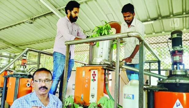 മരച്ചീനി ഇല അർബുദത്തെ തടയുമോ? കാൻസറിനെ തടയാനുള്ള അപൂർവ്വ ഘടകങ്ങൾ മരച്ചീനി ഇലയിലുണ്ടെന്ന് കണ്ടെത്തൽ: സംയുക്ത ഗവേഷണത്തിനൊരുങ്ങി ഇസ്രയേൽ