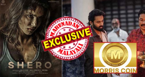 സണ്ണി ലിയോണിനെ മൂന്നാറിലെത്തിച്ച് കുളയട്ടയെ പിടിപ്പിച്ചതും ബിറ്റ് കോയിൻ പണം; മാദക സുന്ദരിയുടെ മലയാള ചിത്രത്തിന്റെ നിർമ്മാതാവ് അൻസാരി നെക്സ്റ്റൽ; പ്രൊജക്ട് ഹെഡായി സോഷ്യൽ മീഡിയിൽ കാണുന്നത് ലുലു ഗ്രൂപ്പിന്റെ മീഡിയാ കോ ഓഡിനേറ്ററും; സ്വരാജും ഉണ്ണി മുകുന്ദനും തമ്മിലും സൗഹൃദം; കള്ളപ്പണം വെളുപ്പിക്കാൻ സുന്ദരിയുടെ യുട്യൂബ് അഭിമുഖവും