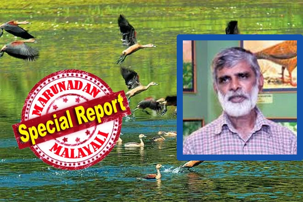 ദേശാടനകിളികൾക്കായി എല്ലാം ഒരുക്കി തട്ടേക്കാട്ടിൽ സുഗതൻ കാത്തിരിക്കുന്നു; ലോകമറിയുന്ന പറവ സാമ്രാജ്യത്തിന് ഇന്ന് പറയാനുള്ളത് നേട്ടങ്ങളുടെ കഥ