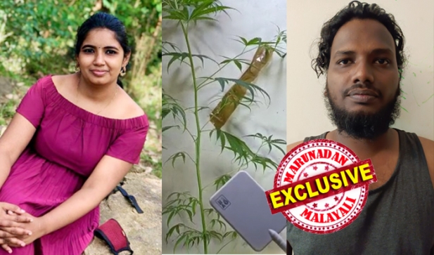 അലൻ.വി.രാജുവിനൊപ്പം അപർണ ലിവിങ് ടുഗെദർ തുടങ്ങിയിട്ട് ആറ് മാസം; ഇൻഫോപാർക്കിലെ പരിചയം ഒരുമിച്ചുള്ള ജീവിതത്തിലേക്ക് നയിച്ചു; അപ്പാർട്ട്മെന്റ് എടുത്തത് ഭാര്യാ ഭർത്താക്കന്മാരെന്ന് പറഞ്ഞ്; വീട്ടിനുള്ളിൽ ഹൈടെക് മാതൃകയിൽ കഞ്ചാവ് വളർത്തിയത് അലൻ; കഞ്ചാവാണെന്ന് തനിക്ക് അറിയില്ലെന്ന് അപർണ; ലഹരി ഇടപാടുകൾ നടത്തിയെന്ന സംശയത്തിൽ പൊലീസ്