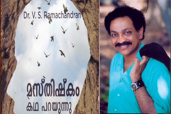 സംസ്കാരത്തിന്റെ നാഡീശാസ്ത്രം