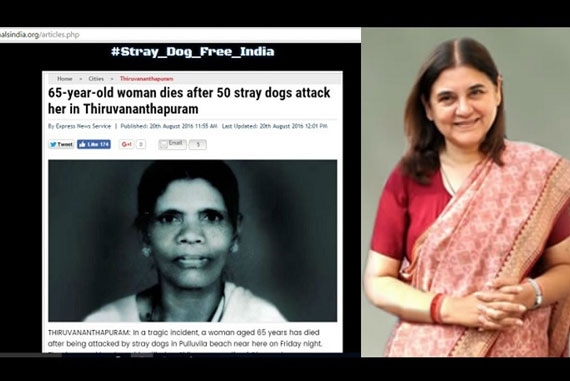 സൈബർ ലോകത്ത് മനേകാ ഗാന്ധിക്കെതിരെ മല്ലൂസിന്റെ പ്രതിഷേധം; തെരുവു നായ്ക്കളെ കൊല്ലാൻ അനുവദിക്കാത്ത നിലപാടിൽ പ്രതിഷേധിച്ച് വെബ്സൈറ്റ് ഹാക്ക് ചെയ്തു; ഹാക്ക് ചെയ്ത പേജിൽ നായ്ക്കളുടെ കടിയേറ്റ് മരിച്ച ശിലുവമ്മയുടെ ചിത്രവും