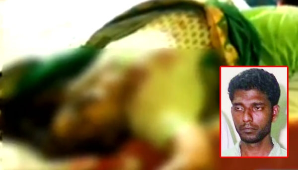 മകനില്ലാത്തതിനാൽ അച്ഛനും അമ്മയും ഇല്ലാത്ത 16കാരനെ മകനെപ്പോലെ സ്നേഹിച്ചു; ആർക്കും കിട്ടാത്ത സ്വാതന്ത്ര്യം ലഭിച്ചതു കൊലപാതകത്തിനു സഹായകമായി; ചങ്ങനാശേരിയിലെ വീട്ടമ്മയെ കൊന്നതു സ്വർണമാലയ്ക്കായി