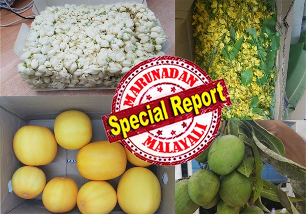 ഗൃഹാതുര സ്മരണകൾ ഉണർത്തി വിഷുവിനെ ഹൃദയപൂർവ്വം വരവേൽക്കാനൊരുങ്ങി പ്രവാസിലോകം; കോൾഡ് സ്റ്റോറേജിലെ കൊന്നപ്പൂവും കണിവെള്ളരിയും വൻ വിലകൊടുത്തു വാങ്ങാൻ തിരക്കോടു തിരക്ക്; അവധി ദിവസമായ വെള്ളിയാഴ്ച വിഷു ആയതിൽ മനം നിറഞ്ഞ് മലയാളി സമൂഹം