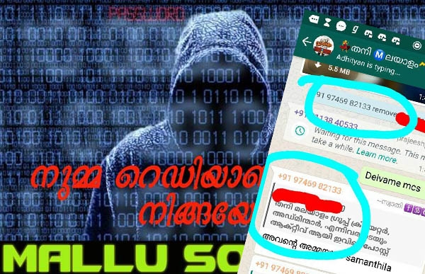 സോഷ്യൽ മീഡിയയിലൂടെ ചൈൽഡ് പോൺ പങ്കുവയ്ക്കുന്നവർക്ക് മല്ലു സൈബർ സോൾജിയേഴ്സിന്റെ ഫൈനൽ വാണിങ്; തനിമലയാളം അടക്കമുള്ള ഗ്രൂപ്പുകൾ 24 മണിക്കൂറിനകം അവസാനിപ്പിച്ചിരിക്കണം; നടപടി ഉണ്ടായില്ലെങ്കിൽ ഓരോ അംഗങ്ങളുടെയും പേരു വിവരങ്ങൾ ദൃശ്യമാധ്യമങ്ങളിൽ വരുമെന്നും ഹാക്കർമാരുടെ കൂട്ടായ്മ