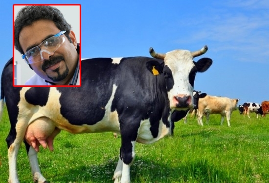 പശുവിന്റെ നിശ്വാസത്തിൽ ഓക്സിജൻ ഉണ്ടോ? ഓക്സിജൻ മാത്രമല്ല, നൈട്രജൻ ഉണ്ട്, കാർബൺ ഡൈ ഓക്സൈഡ് ഉണ്ട്, വളരെ ചെറിയ അളവിൽ ഉത്കൃഷ്ട വാതകങ്ങളും ഉണ്ട്; രാജസ്ഥാൻ ഹൈക്കോടതി വിധിയുടെ ശാസ്ത്രീയ വശം വിലയിരുത്തുമ്പോൾ