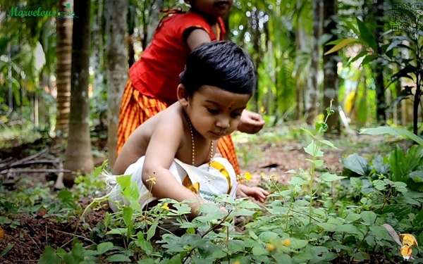 അത്തം പത്തിന് പൊന്നോണം; ഇന്ന് മുതൽ നമുക്കും പൂക്കളം ഒരുക്കി കാത്തിരിക്കാം