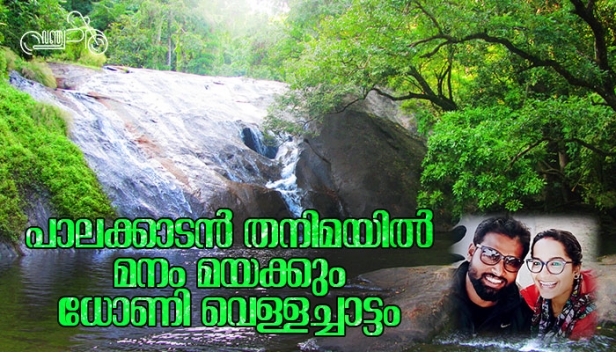 പ്രകൃതിയുടെ കുളിർമ നുകർന്നൊരു യാത്ര പോകാം..! കാടിന്റെ നടുവിലൂടെ നടത്തവും നീരൊഴുക്കുകളുടെ സാന്ത്വനവും ആസ്വദിക്കാം; ഒലവക്കോട്ടേയ്ക്കു വരൂ; പാലക്കാടൻ തനിമയിൽ മനം മയക്കുന്ന ധോണി വെള്ളച്ചാട്ടം കാണാൻ പോകാം; സഞ്ചാരി മറുനാടൻ ട്രാവൽ വീഡിയോ കാണാം